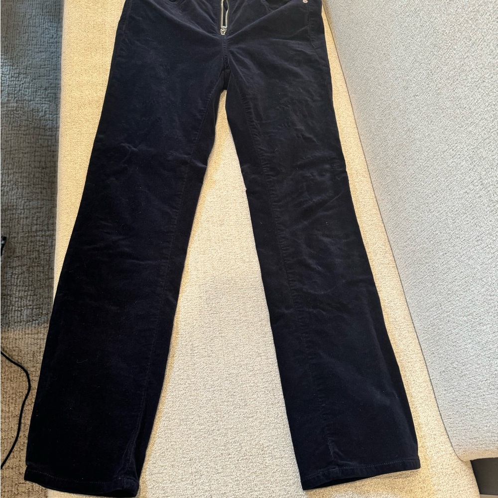 Rag & Bone front zipper with snaps dark Clancy velvet pants